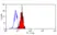 Anti Human CD155 Antibody, clone SKII.4 thumbnail image 1