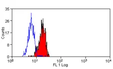 Anti Human CD155 Antibody, clone SKII.4 gallery image 2