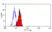 Anti Human CD155 Antibody, clone SKII.4 thumbnail image 2