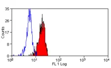 Anti Human CD155 Antibody, clone SKII.4 gallery image 4