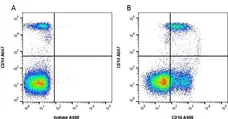 Anti Human CD16 Antibody, clone DJ130c | Bio-Rad