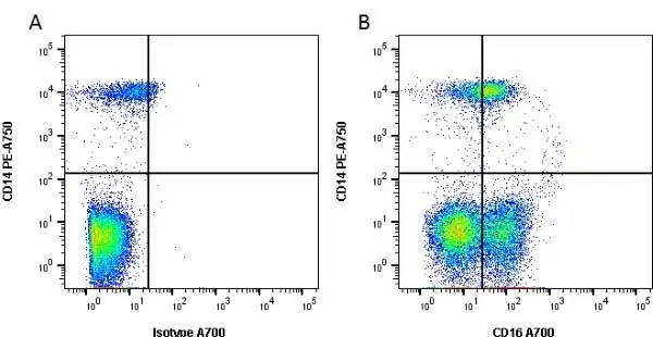 Anti Human CD16 Antibody, clone DJ130c gallery image 2