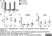 Anti Human CD16 Antibody, clone DJ130c thumbnail image 4