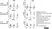 Anti Human CD16 Antibody, clone DJ130c thumbnail image 5