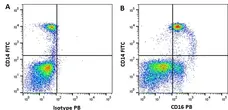 Anti Human CD16 Antibody, clone DJ130c gallery image 6