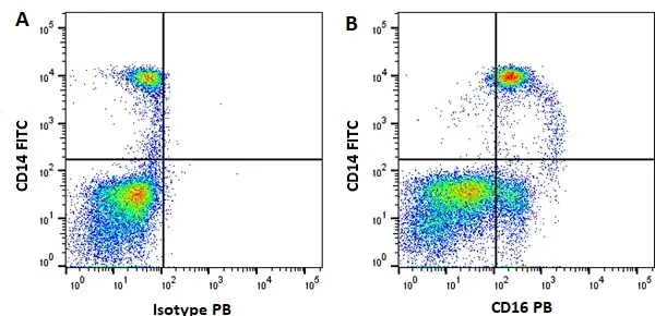 Anti Human CD16 Antibody, clone DJ130c gallery image 6