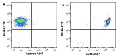 Anti Human CD16 Antibody, clone KD1 gallery image 1