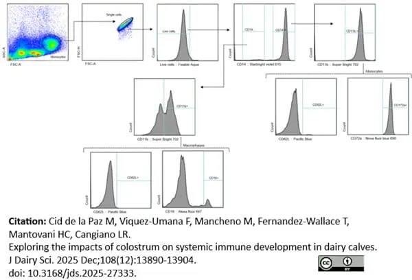 Anti Human CD16 Antibody, clone KD1 | Bio-Rad