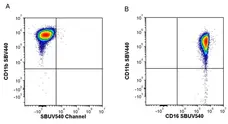 Anti Human CD16 Antibody, clone KD1 gallery image 13