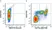 Anti Human CD16 Antibody, clone KD1 thumbnail image 15