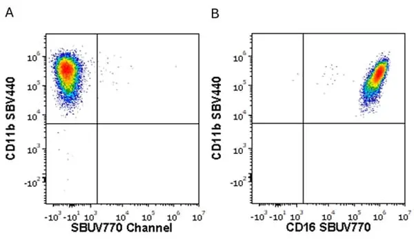 Anti Human CD16 Antibody, clone KD1 gallery image 17