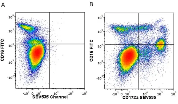 Anti Human CD16 Antibody, clone KD1 gallery image 21