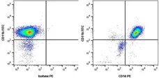Anti Human CD16 Antibody, clone KD1 gallery image 3