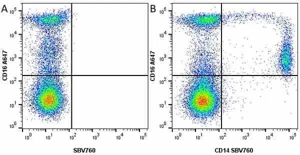 Anti Human CD16 Antibody, clone KD1 gallery image 6