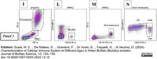Anti Human CD16 Antibody, clone KD1 gallery image 8