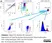 Anti Human CD16 Antibody, clone KD1 thumbnail image 9