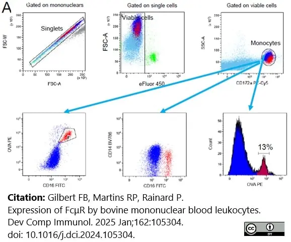 Anti Human CD16 Antibody, clone KD1 | Bio-Rad