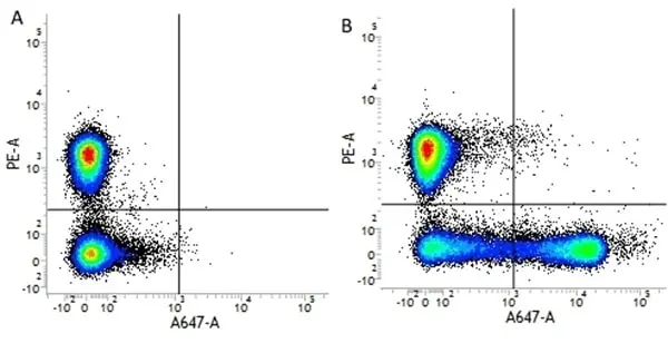 Anti Human CD16 Antibody, clone LNK16 gallery image 2