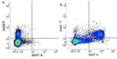 Anti Human CD16 Antibody, clone LNK16 gallery image 3