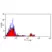 Anti Human CD16 Antibody, clone YFC120.5 thumbnail image 1