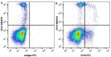Anti Human CD16 Antibody, clone YFC120.5 gallery image 2