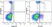 Anti Human CD16 Antibody, clone YFC120.5 thumbnail image 2
