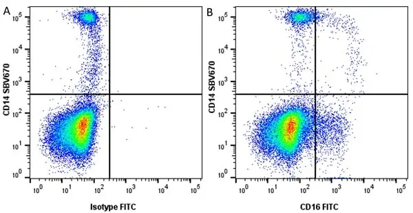 Anti Human CD16 Antibody, clone YFC120.5 gallery image 2