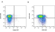 Anti Human CD161 Antibody, clone B199.2 gallery image 1