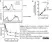 Anti Human CD161 Antibody, clone B199.2 thumbnail image 4
