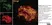 Anti Human CD161 Antibody, clone B199.2 thumbnail image 6