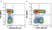 Anti Human CD161 Antibody, clone B199.2 thumbnail image 7