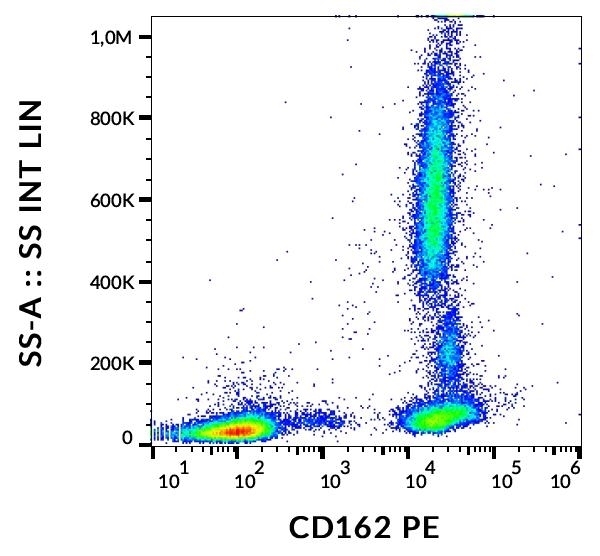 Anti Human CD162 Antibody, clone TC2 gallery image 1