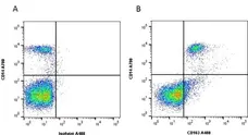 Anti Human CD163 Antibody, clone EDHu-1 gallery image 17