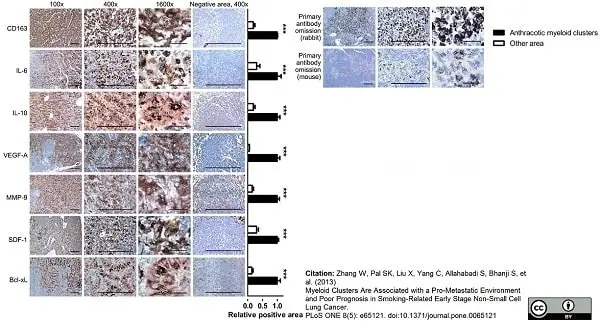 Anti Human CD163 Antibody, clone EDHu-1 gallery image 25