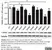 Anti Human CD163 Antibody, clone EDHu-1 thumbnail image 28