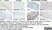 Anti Human CD163 Antibody, clone EDHu-1 thumbnail image 35