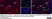Anti Human CD163 Antibody, clone EDHu-1 thumbnail image 36
