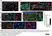 Anti Human CD163 Antibody, clone EDHu-1 thumbnail image 42