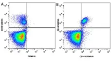 Anti Human CD163 Antibody, clone EDHu-1 gallery image 48