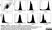 Anti Human CD163 Antibody, clone EDHu-1 thumbnail image 5