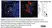 Anti Human CD163 Antibody, clone EDHu-1 thumbnail image 51