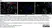 Anti Human CD163 Antibody, clone EDHu-1 thumbnail image 53