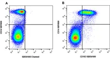 Anti Human CD163 Antibody, clone rAB04 gallery image 1