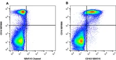 Anti Human CD163 Antibody, clone rAB04 gallery image 2