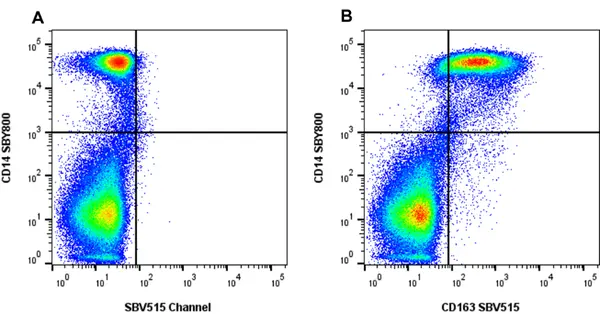 Anti Human CD163 Antibody, clone rAB04 gallery image 2