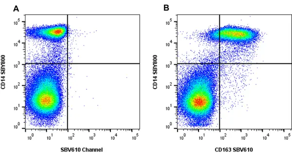 Anti Human CD163 Antibody, clone rAB04 gallery image 3