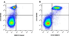 Anti Human CD163 Antibody, clone rAB04 gallery image 4