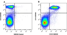 Anti Human CD163 Antibody, clone rAB04 gallery image 5
