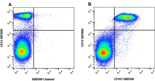 Anti Human CD163 Antibody, clone rAB04 gallery image 5