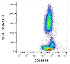 Anti Human CD164 Antibody, clone 67D2 gallery image 1